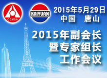 2015年副会长暨专家组长工作会议